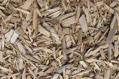biomass boilers Carnassarie